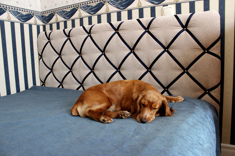 DIY项目:簇绒床头板