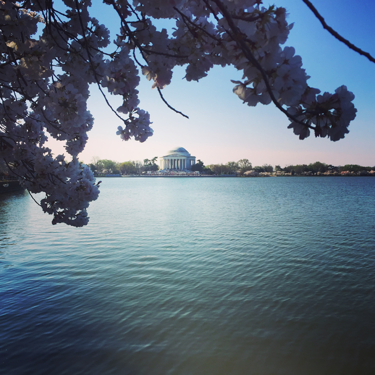 My Trip to Washington D.C.
